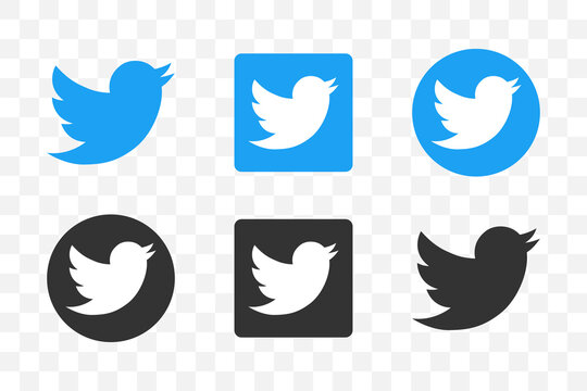 Twitter Logo Images Browse 8 559 Stock Photos Vectors And Video Adobe Stock Twitter Logo Images Browse 8 559 Stock Photos Vectors And Video Adobe Stock