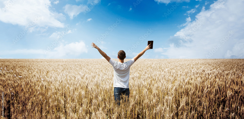 Wall mural man holding up Bible in a wheat field