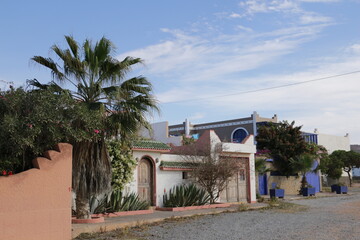 beautiful exotic entrance door in Mirleft, Morocco