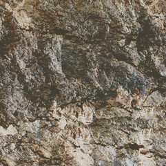 Fototapeta premium stylish blend of unique textures