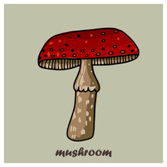 Isolated card with colorful autumn mushrooms, honey agarics, russula, boletus. Preschool cards. Set of autumn social media stories. Autumn stickers. Bright postcards. Vector eps 10