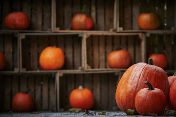 Pumpkins in crates as an autumn decoration. Autumn background