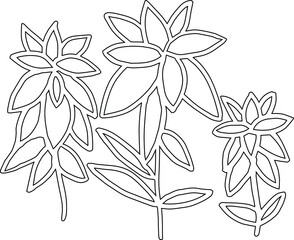 Simple vector drawing of plants. Grass sprouts. For print.