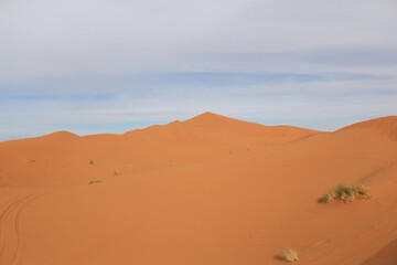 Fototapeta na wymiar orange color dune 