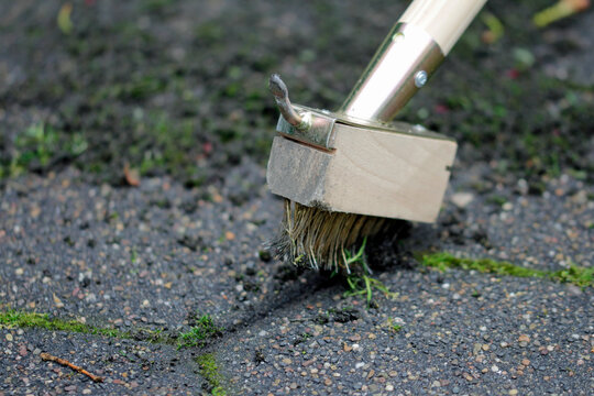 remove moss and weeds from the pavement with the wire brush on a stick 