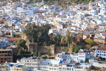 Fototapeta na wymiar Dense little blue houses that look like miniatures in Chefchaouen, Morocco