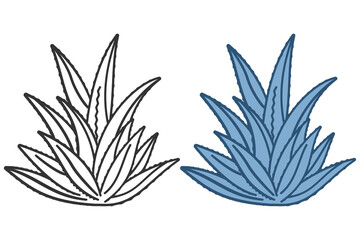 Fototapeta na wymiar Agave plant vector cartoon illustration isolated on a white background.
