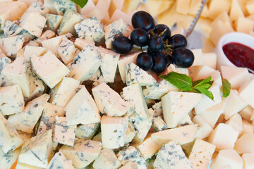 Cheese plate with raspberry jam decorated with mint and blue grape. Blue cheese and goat cheese. Luxury catering. Closeup.