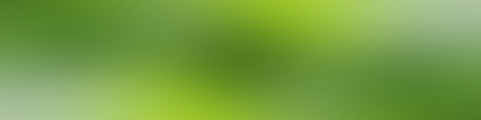 blurred green spring gradient, abstract fresh nature green wall background