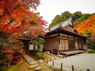 【京都】金福寺の紅葉