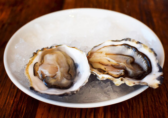 Two fresh, open oysters lie on a plate of ice. Sea food, aphrodisiac