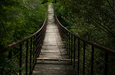 Obraz premium Wooden bridge in the woods