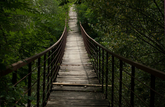Wooden bridge in the woods © Tatyana