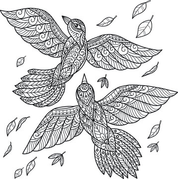 Bird Vector black and white Adult Mandala coloring page for colouring book. Leaves and flowers in monochrome colors