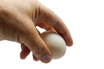 An egg in the hand of a man on a light background. Isolated.
