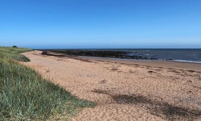 Fototapeta premium beach and dunes at East Haven