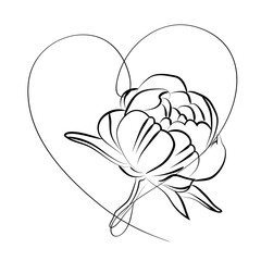 Blooming flower with heart on white background.