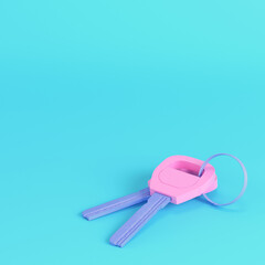 Pink two keys on kering on bright blue background in pastel colors