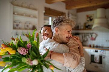 Happy senior mother hugging adult daughter indoors at home, mothers day or birthday celebration.