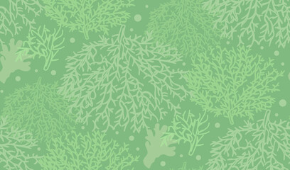 Seamless pattern of hand drawn underwater green corals and sea reefs in doodle style. Vector illustration.