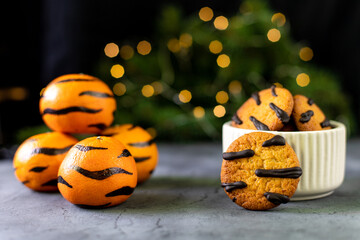 orange cookies with black stripes in bowl and fir tree branches. Christmas dessert. Concept for children new year