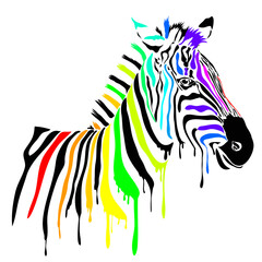 Splatter paint rainbow zebra - obrazy, fototapety, plakaty