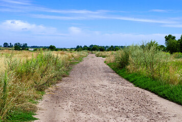 Fototapeta na wymiar road in the countryside with blue sky on the horizon