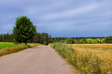 Fototapeta na wymiar road in the countryside with blue sky on the horizon