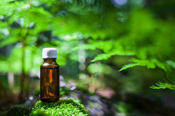 Essential oil in bottle on moss. Bokeh nature background provides, copy space. Natural remedium. COPY-SPACE.