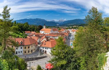 Kamnik and Trees