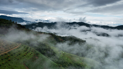 aerial view of clouds on beautiful mountains beautiful nature that covers the fertile tropical forests of Nan Province Northern Thailand, Ya Luang Suan