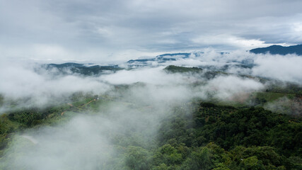 aerial view of clouds on beautiful mountains beautiful nature that covers the fertile tropical forests of Nan Province Northern Thailand, Ya Luang Suan