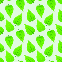 Fototapeta na wymiar Nettle leaves of a medicinal plant in a seamless pattern