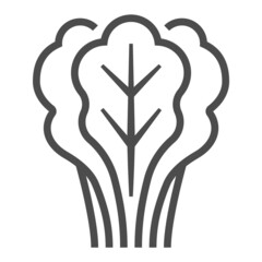 Lettuce, square line vector icon.