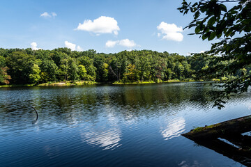Fototapeta na wymiar lake in the forest during summer