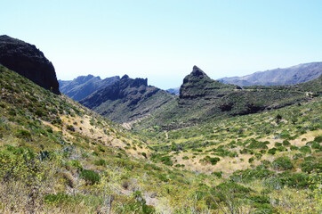 TENERIFE, SPAIN: Scenic landscape view of Masca Canyon natural park rocks 