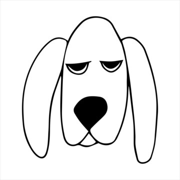 Vector portrait of a basset hound dog in doodle cartoon style. Pet illustration in line art style