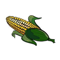 Cartoon corn on a cob illustration 