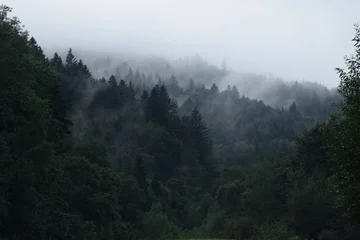 Foto op Plexiglas Mooie mistige bomen in bergen, mistig en bewolkt bos in bergen, landschap in Beskid, Polen. © Anna