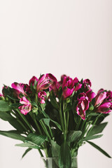 Background with Alstroemeria flowers bouquet for home decor. Simple floral arrangement