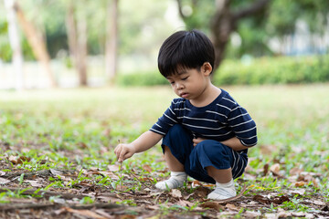 Toddler little boy playing outdoor. Asian little child kid having fun, enjoy, relaxing on green...