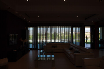 Sectional sofa in luxury modern living room