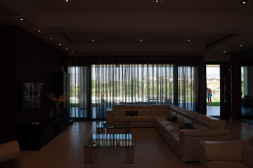 Sectional sofa in luxury modern living room