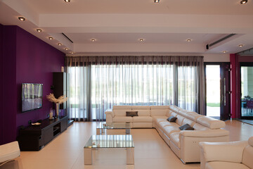 Sectional sofa in luxury modern living room