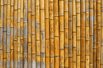 bamboo texture, bamboo background, bamboo background texture