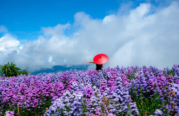 A flower garden blooms on the top of the mountain.