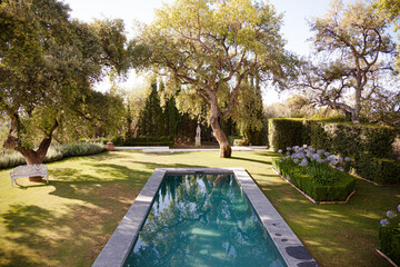 Lap pool in tranquil garden