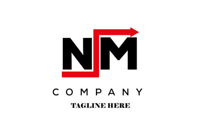 Fototapeta premium NM financial advice logo vector