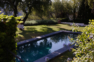 Lap pool in tranquil garden