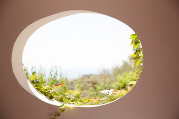 View of garden through oval window